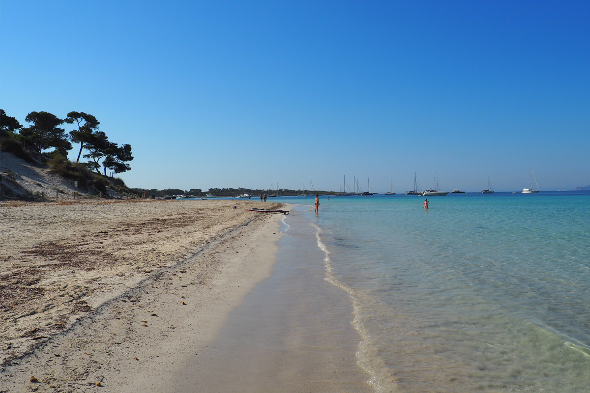 Can bonico hotel mallorca playa es carbo