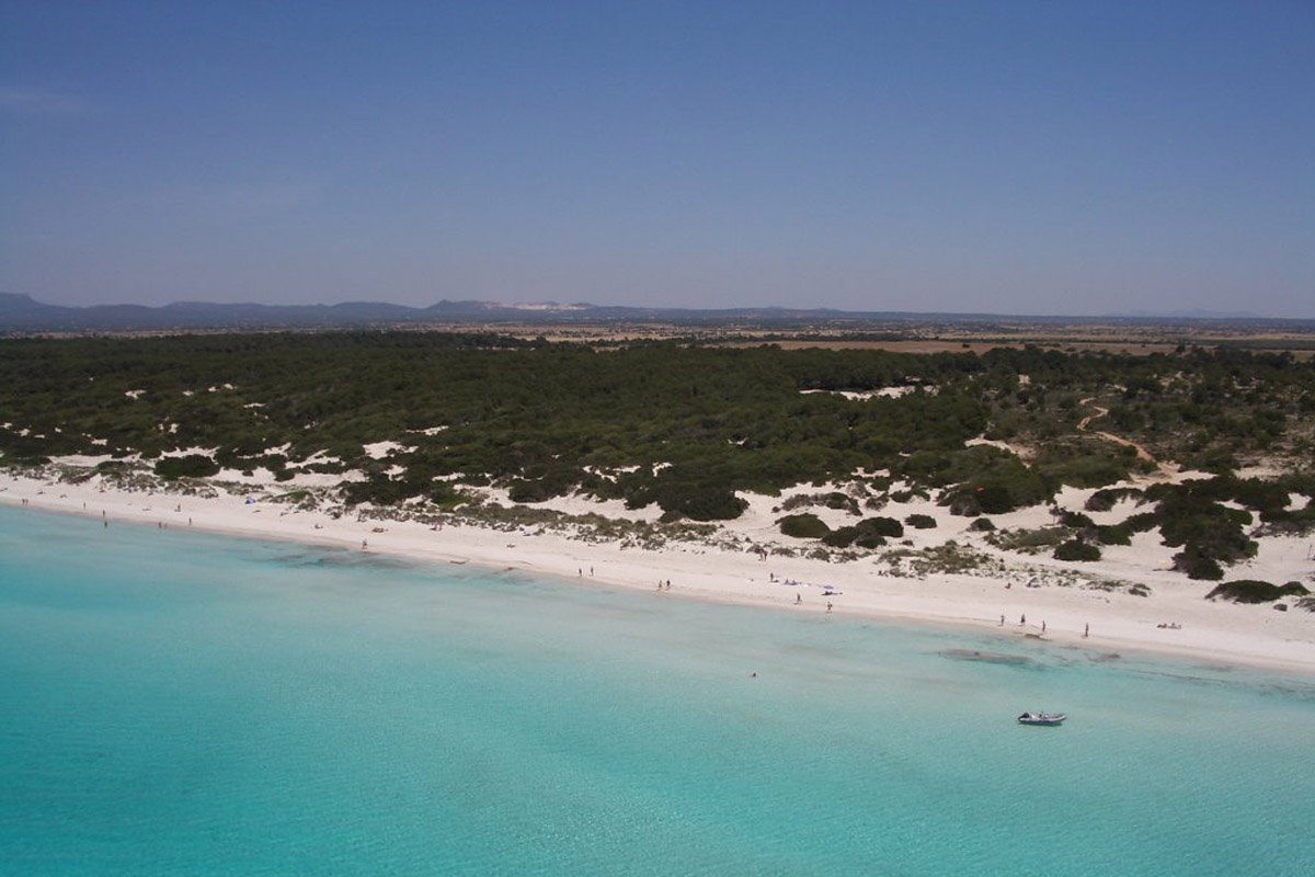 can bonico hotel mallorca ses salines es carbo beach