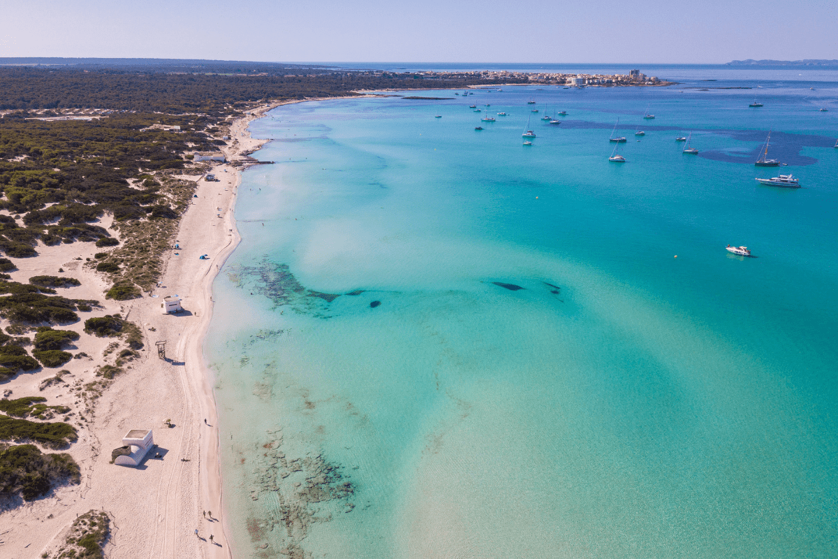 Best beaches can bonico hotel mallorca salines trenc-min