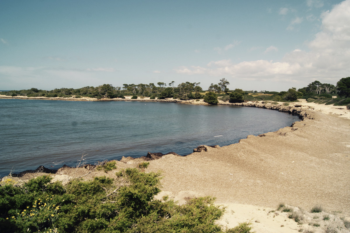 best beaches coves mallorca mejores calas sureste mallorca cala en tugores can bonico hotel ses salines