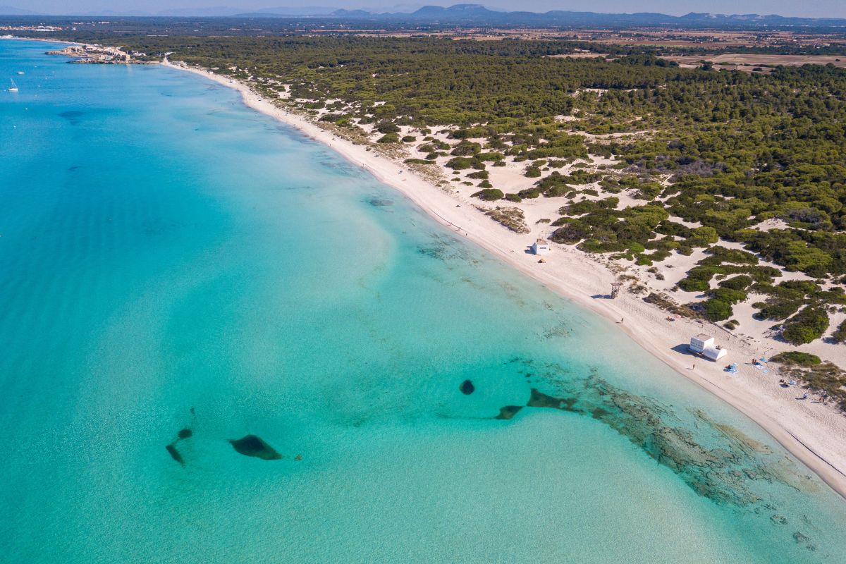 blog hotel can bonico ses salines mallorca best beaches es trenc