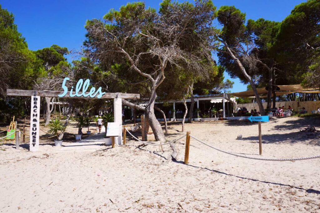 Top 5 restaurants in the South of Mallorca 5 illes beach hotel can bonico restaurantes sur Mallorca