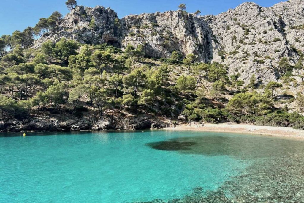 Hotel Ca'n Bonico - Discover Mallorca’s hidden beaches, a guide - CALA MURTA - CREDITOS https___www.footstepstravelblog.com Strand Mallorca