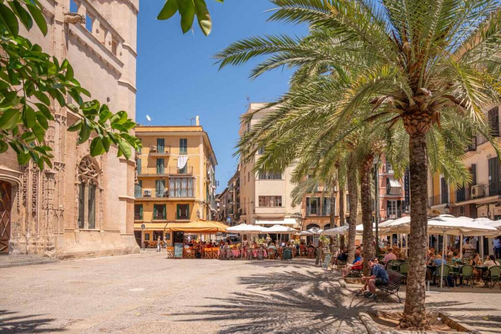 blog hotel can bonico ses salines Palma's Old Town - what to see and where to go Shoppen Palma Altstadt