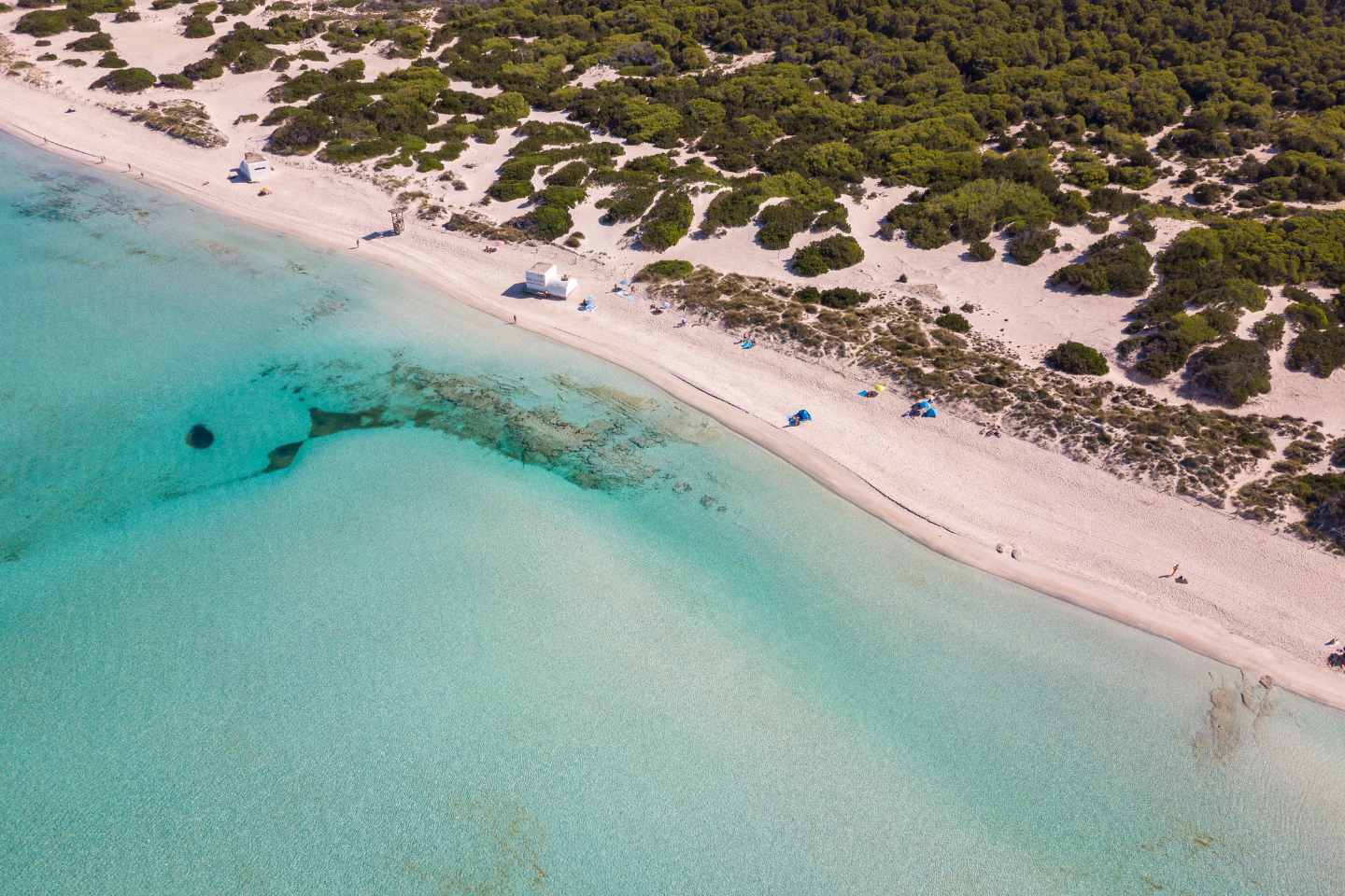 F blog hotel can bonico ses salines Plan Your 2025 stay at Hotel Ca’n Bonico temporada 2025