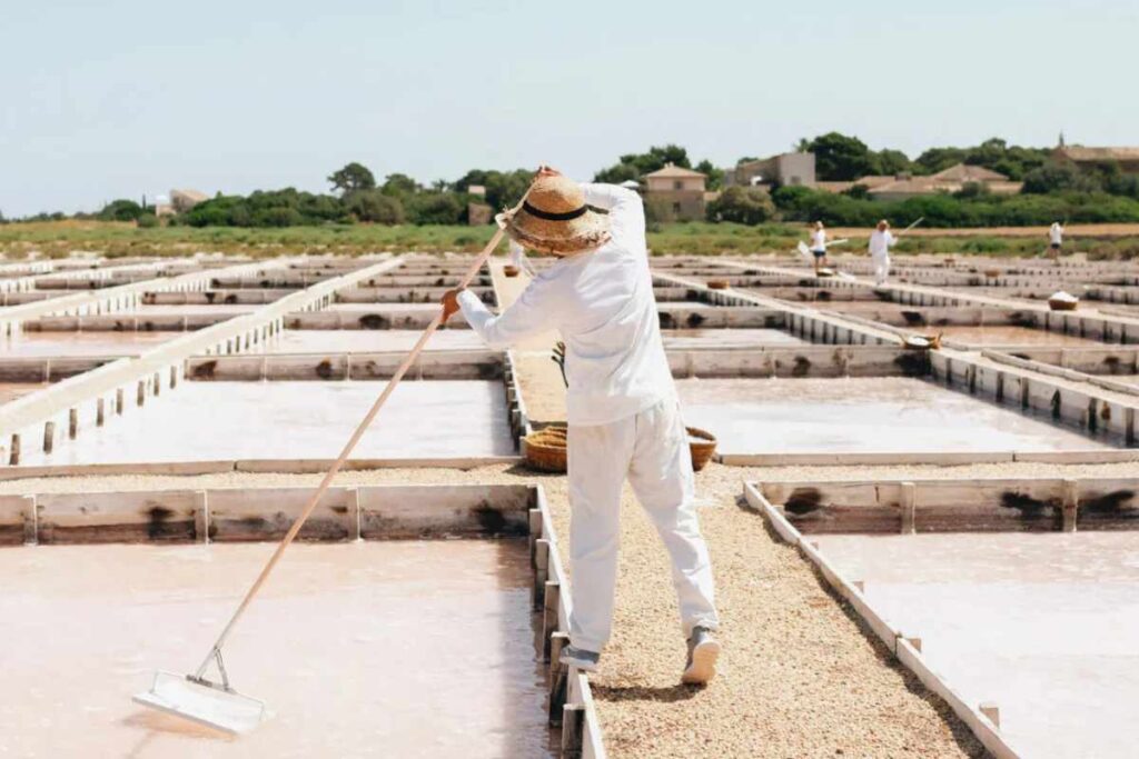 Blog hotel can bonico ses salines Mallorca - Historias locales - Flor de Sal de Es Trenc salt from Mallorca