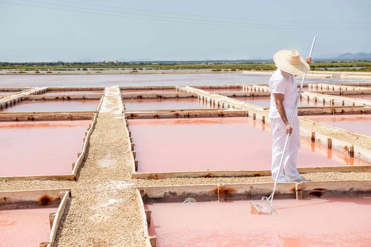 F Blog hotel can bonico ses salines Mallorca - Historias locales - Flor de Sal d’Es Trenc local stories salt