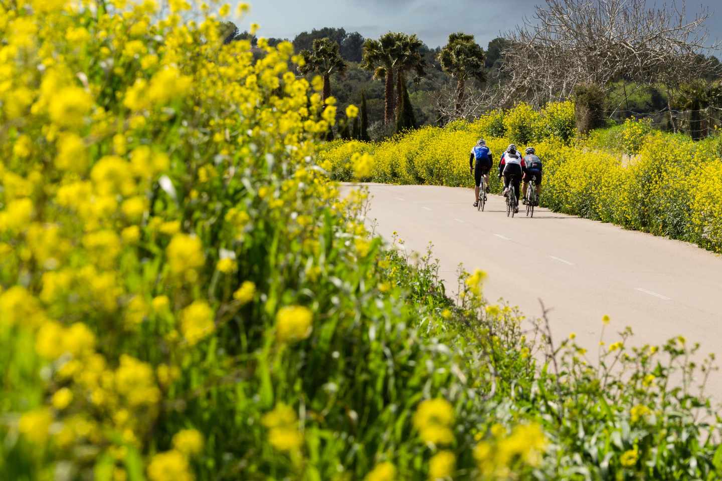 _F Blog hotel can bonico ses salines Mallorca - Cycling routes to discover this Spring in Mallorca rutas bici mallorca