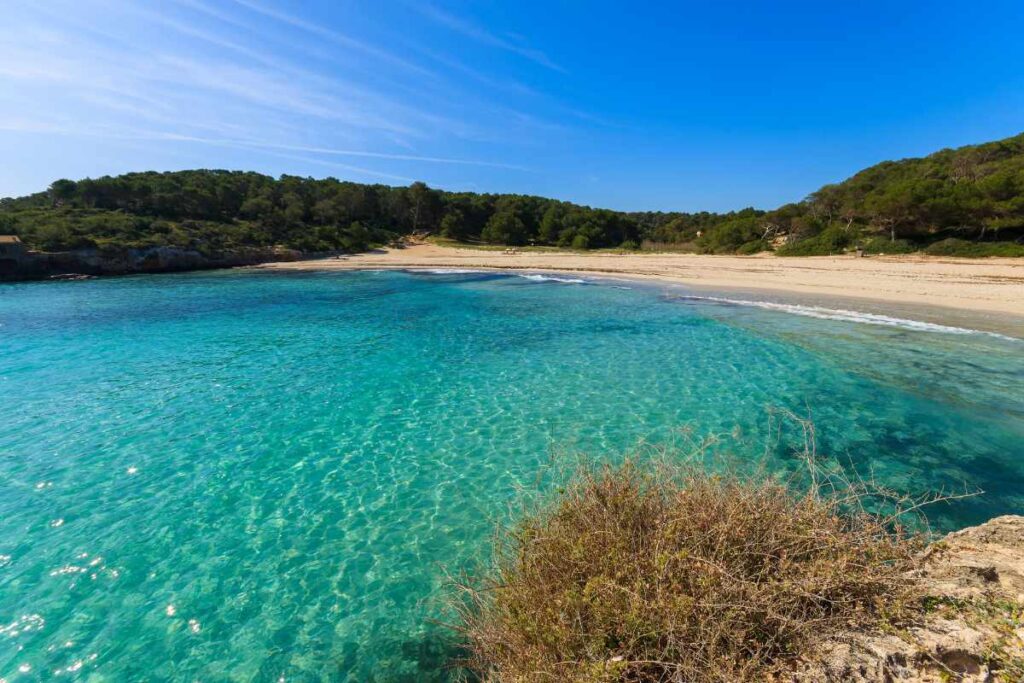 Blog hotel can bonico ses salines Mallorca - Mallorca in May_ beaches before summer arrives - S'AMARADOR playas primavera mallorca