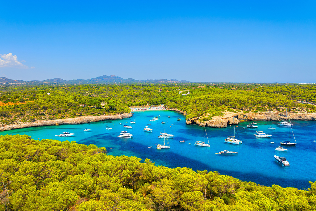 Cala modnrago can bonico familias