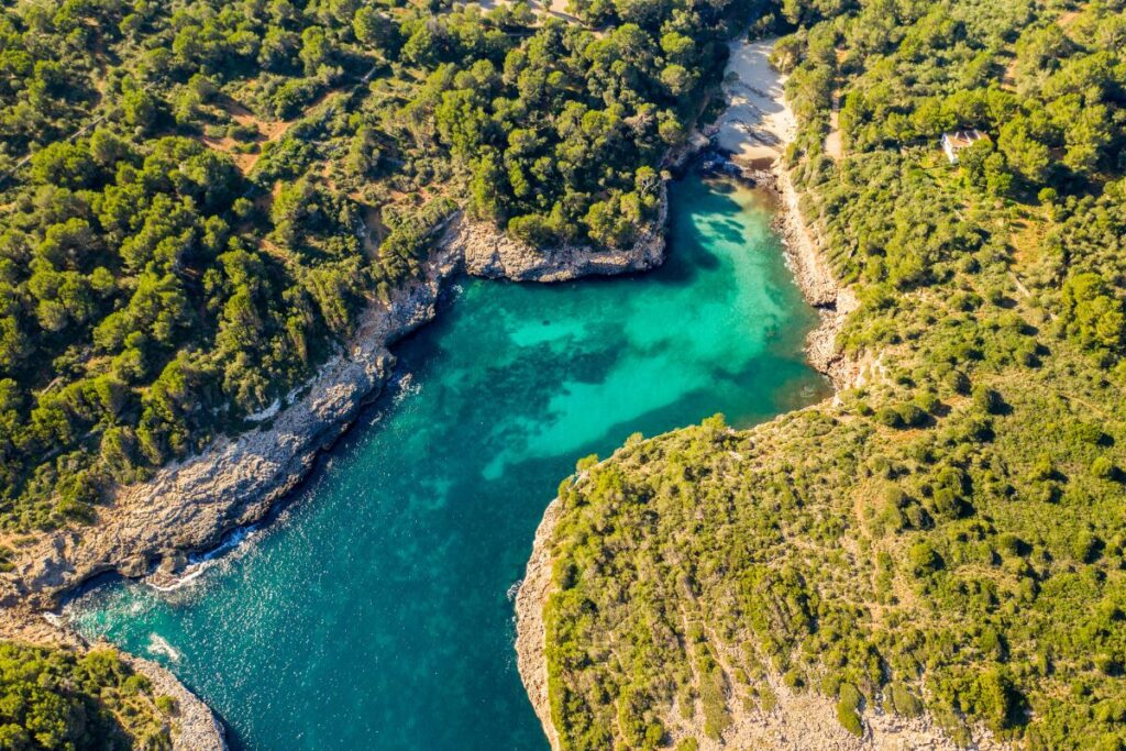 Cala Mitjana can bonico