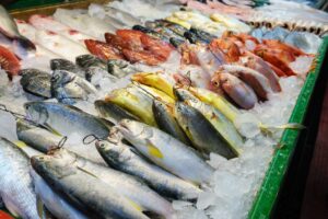 fishing mallorca pesca