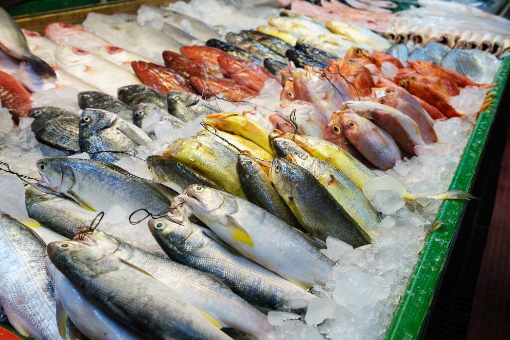 pescado fresco pesca mallorca fischerei