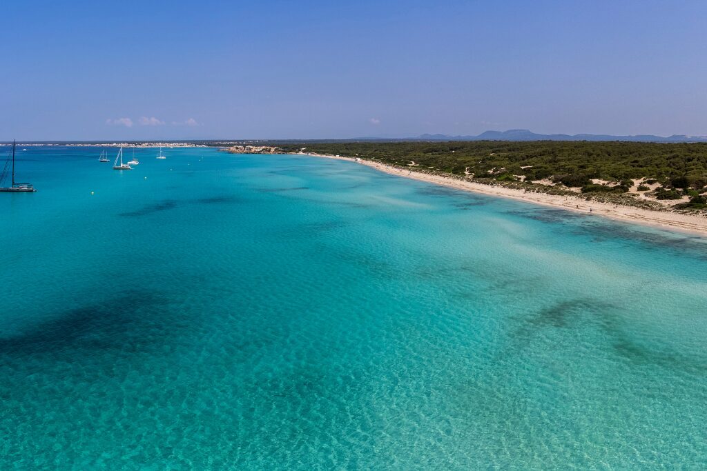 es TRENC mallorca septiembre can bonico